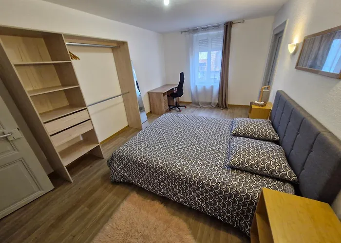 Nest Apartment Colmar